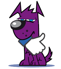 K9 Social Media Dog