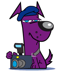 Gallery Photography Dog