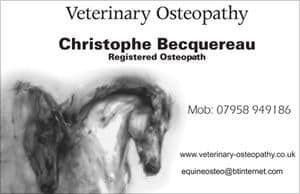Veterinary Osteopathy Logo