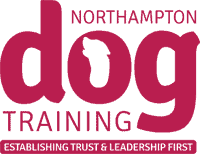 Northampton Dog Training