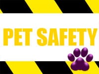Pet Safety Banner
